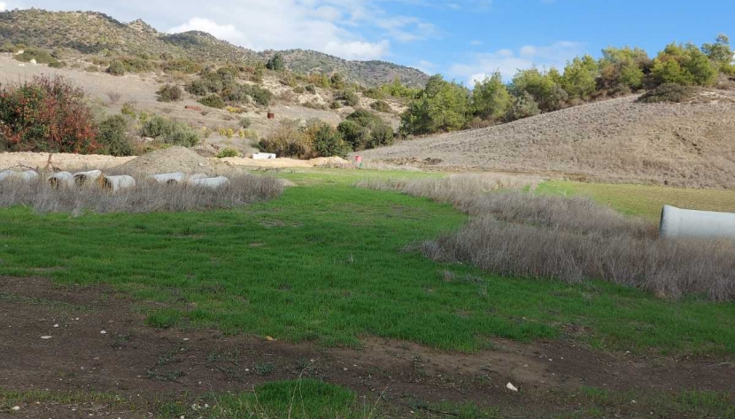 LPHI-LRESQ-6485 LAND IN PHINIKARIA ***SOLD***